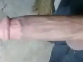 亚裔大鸡巴!! free chinese adult gay porn
